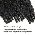 Burmese Curly Brazilian 100% virgin hair